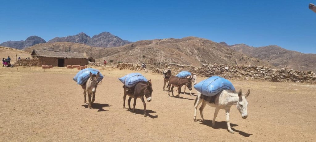 La situación de la guerra contra las drogas se ha agravado enormemente: