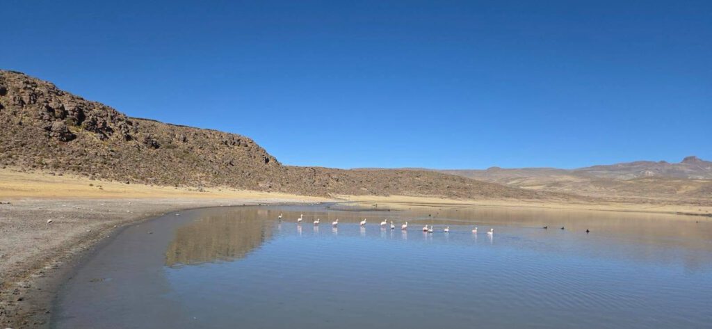 Gemeinsam Zukunft schenken
Unter der Leitung von Padre Hernán Tarqui, der sich unermüdlich für die Ärmsten in den Bergen Boliviens einsetzt, wird jede Hilfe direkt vor Ort wirksam.