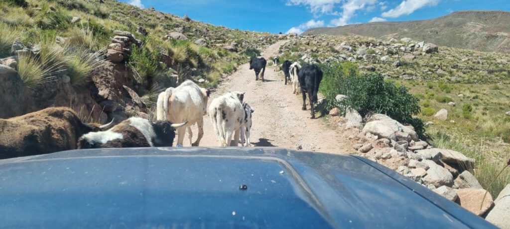 De camino a Ayoma: el agreste Altiplano. El aire enrarecido de los Andes: nos encontramos a más de 3.400 metros de altura. Cada respiración nos recuerda lo implacable y extremo que puede ser este entorno.