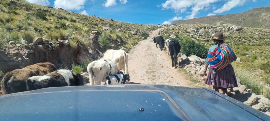 El paisaje de la Puna: Por la ventana se extiende la belleza árida y vasta del altiplano boliviano. Formaciones rocosas escarpadas, pastizales secos y las imponentes siluetas de las montañas, que se recortan contra el viento frío.