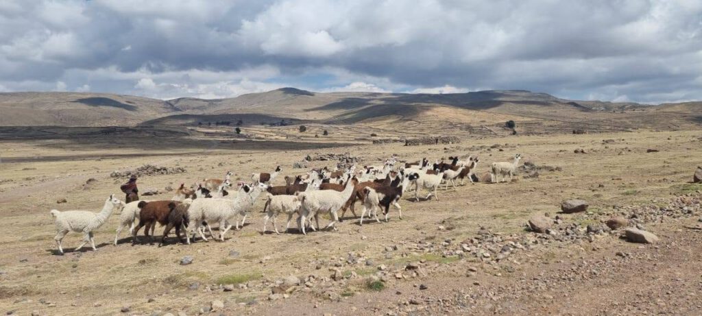 La sombra sobre las montañas: un país en un estrangulamiento. Bolivia atraviesa una de las crisis sociales y políticas más graves de su historia reciente. Como tercer mayor productor de cocaína del mundo, el país se encuentra en el punto de mira de las redes criminales internacionales. Lo que antes solía ocurrir lejos de la vista del público, ahora se manifiesta cada vez más en forma de violencia abierta.