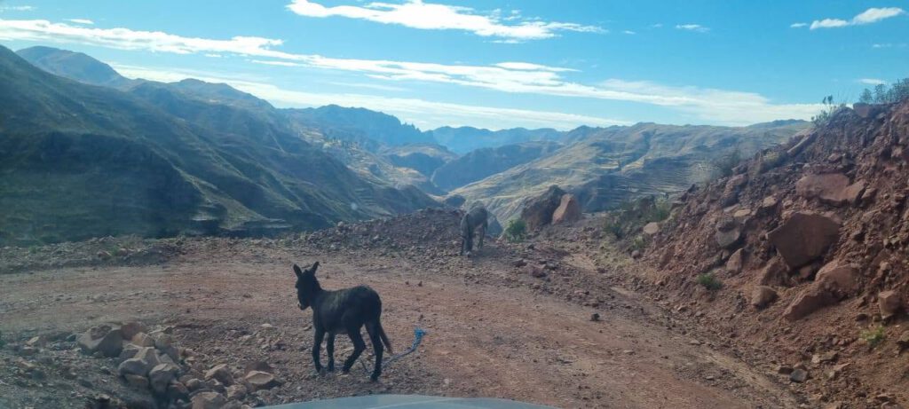 Cuando la fe mueve montañas y desafía la sombra de la guerra contra las drogas. Los Andes bolivianos: cumbres impresionantes, aire enrarecido y un paisaje que difícilmente podría ser más majestuoso. Sin embargo, quien mira más allá de ese idílico panorama de postal, se da cuenta rápidamente de que la vida aquí arriba, a más de 4.000 metros, es una lucha constante y dura. En medio de todo esto, donde terminan las calles y los senderos se vuelven empinados, trabaja el padre Hernán Tarqui. Un hombre que demuestra lo que significa no solo predicar la Iglesia, sino vivirla de cerca, al servicio de los más pobres entre los pobres.