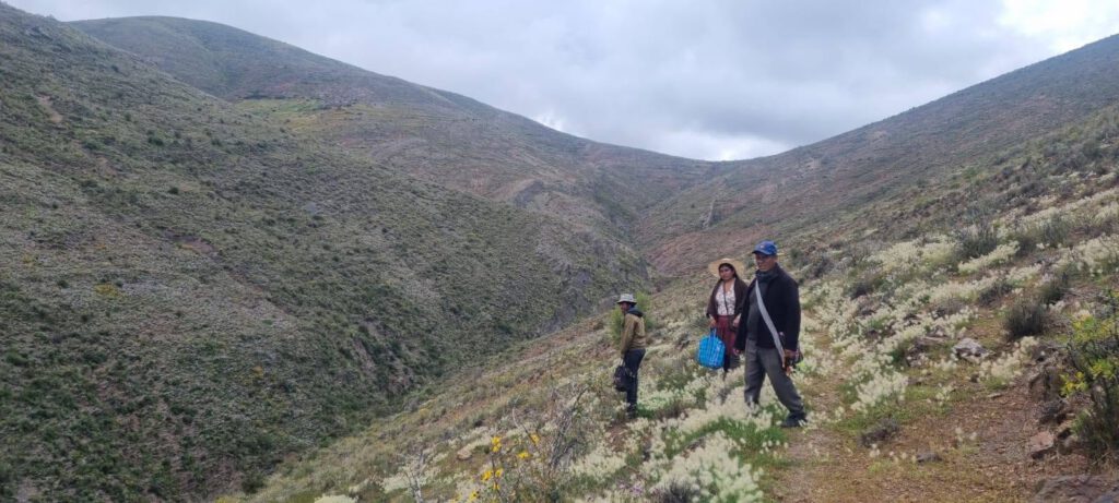 Die Berge Boliviens wirken an diesem Tag wie eine Kathedrale aus Stein, Wind und weitem Himmel. Auf rund 4.000 Metern Höhe, dort, wo jeder Schritt bewusster wird und die Luft spürbar dünner ist, durfte ich einen Gottesdienst erleben, der mir noch lange in Erinnerung bleiben wird.