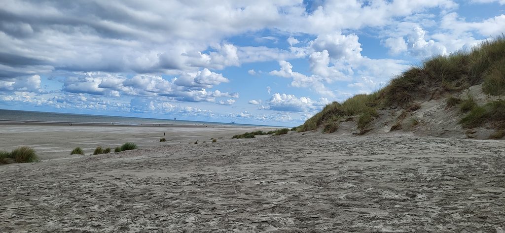 Blick auf den Strand der Nordseeinsel Ameland aus den Dünen.